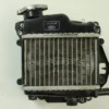 2009 Honda Ruckus OEM Radiator  B4477