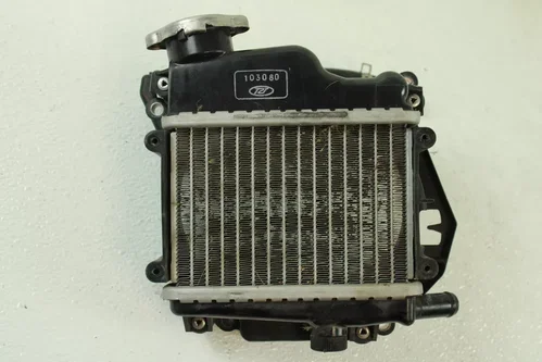 2009 Honda Ruckus OEM Radiator  B4477