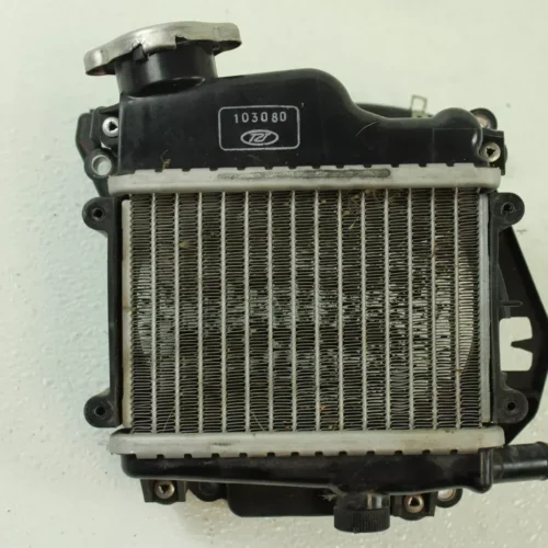 image156403186608_0_1740454274501_1920x2560 2009 Honda Ruckus OEM Radiator B4477