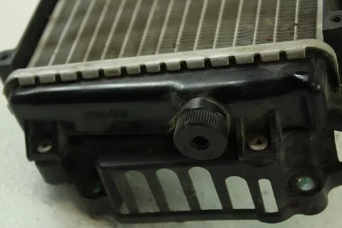 2009 Honda Ruckus OEM Radiator  B4477