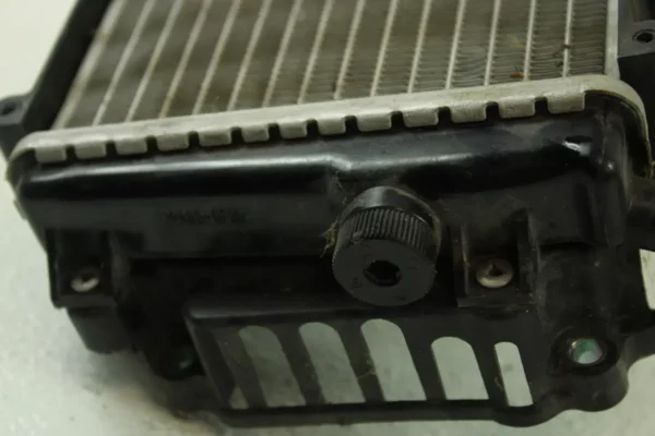 2009 Honda Ruckus OEM Radiator  B4477