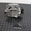 2019 Kawasaki KX450 Cylinder Head Top End Valves Engine OEM 19-2023 KX450