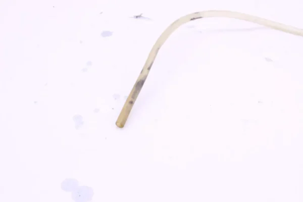 image335746682013_8_1735229905070_1920x2560 2017 Honda Crf450r Oem Radiator Hoses Pipe Set p0393