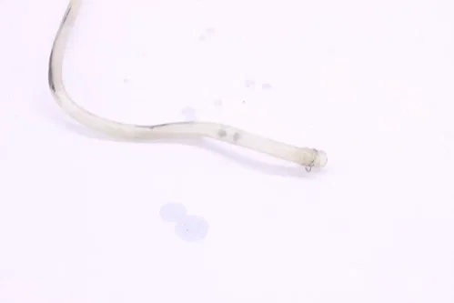 image335746682013_9_1735229904976_1920x2560 2017 Honda Crf450r Oem Radiator Hoses Pipe Set p0393