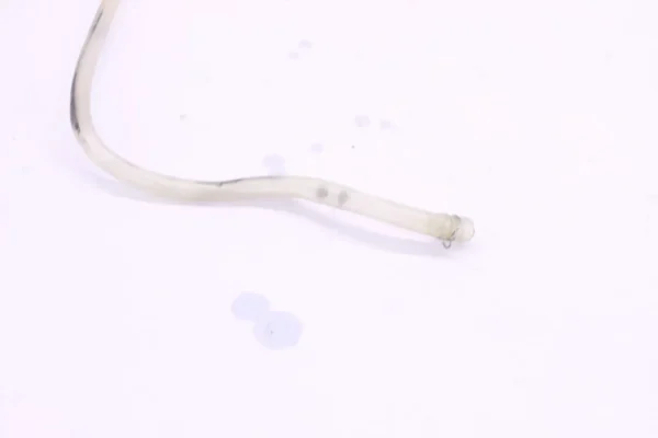 image335746682013_9_1735229904976_1920x2560 2017 Honda Crf450r Oem Radiator Hoses Pipe Set p0393