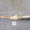 2009 Yamaha TTR 230 Stock Slip On Pipe Muffler