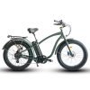 Coastal Cruiser Step Over 26×4 52V/21Ah 750W Electric Bike