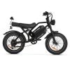 HappyRun G70 48V/26Ah 750W Electric Cargo Bike