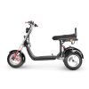 10_1080x_71bfa875-22d8-49f1-b868-ed2cc9d87329 SoverSky T7.4 60V/40Ah 4000W Electric Swing Trike
