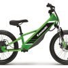 2025 Kawasaki Elektrode 20