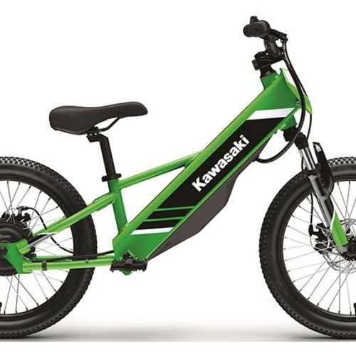 2025 Kawasaki Elektrode 20
