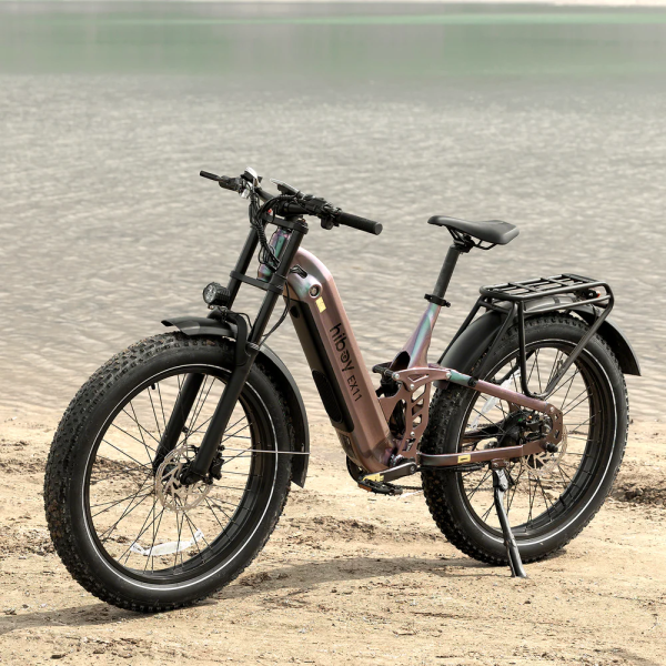 16_8754c23f-415e-4d1f-93fb-d3cf85fbd1cc Hiboy EX11 48V/18Ah 880W Full Suspension Electric Bike
