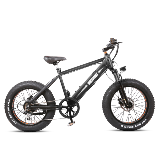 17_1024x1024_e206e218-f698-4e3d-9b83-981ed7843786 NAKTO Discovery 48V/10Ah 350W Fat Tire Electric Bike