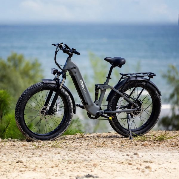 19_2048x2048_adb61c2d-cd2a-4204-b298-ee0297cdaaab Hiboy EX7 48V/18Ah 750W Full Suspension Electric Bike