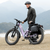 19_2563eb9a-1f16-47e9-9ad3-d958fcd265c6 Hiboy EX11 48V/18Ah 880W Full Suspension Electric Bike