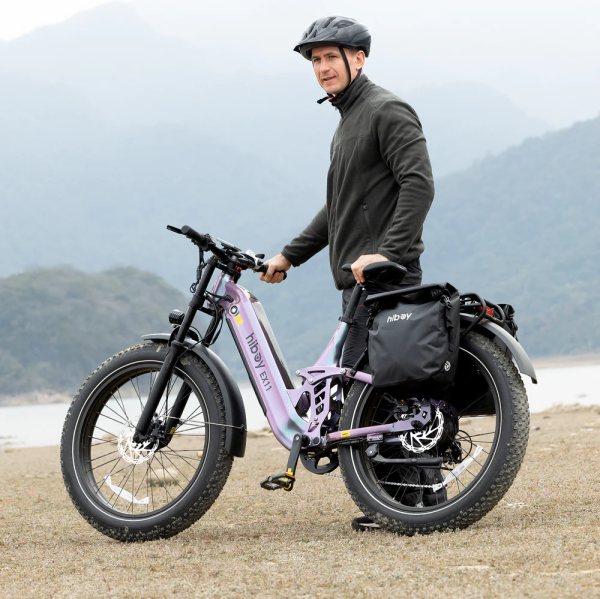 19_2563eb9a-1f16-47e9-9ad3-d958fcd265c6 Hiboy EX11 48V/18Ah 880W Full Suspension Electric Bike