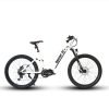 1EUNORAUSPECTER-ST48V EUNORAU SPECTER-ST 48V/17Ah 1000W Electric Mountain Bike