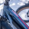 DWMEIGI Pegasus 48V/16Ah 750W Fat Tire Electric Bike
