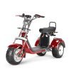 1_1080x_330e5a9a-d42d-4e83-b20f-f6ef9db25c60 SoverSky T7.4 60V/40Ah 4000W Electric Swing Trike