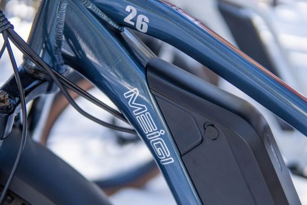 DWMEIGI Pegasus 48V/16Ah 750W Fat Tire Electric Bike