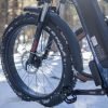 DWMEIGI Pegasus 48V/16Ah 750W Fat Tire Electric Bike