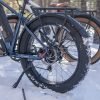 DWMEIGI Pegasus 48V/16Ah 750W Fat Tire Electric Bike