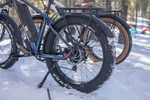 DWMEIGI Pegasus 48V/16Ah 750W Fat Tire Electric Bike