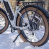 1_14 DWMEIGI Artemis 48V/16Ah 750W Fat Tire Electric Bike