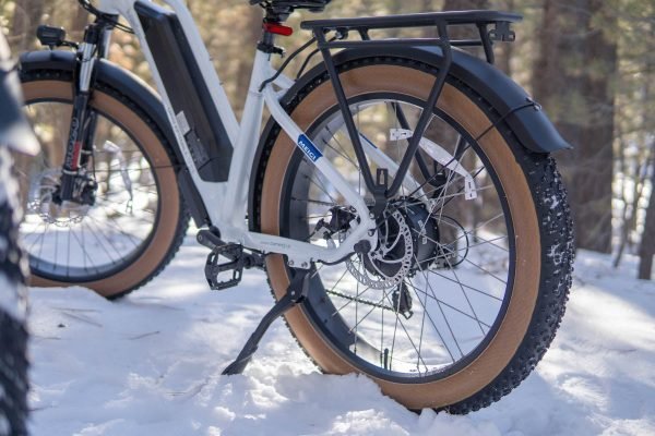 1_14 DWMEIGI Artemis 48V/16Ah 750W Fat Tire Electric Bike