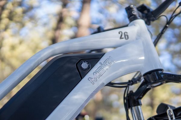 1_15 DWMEIGI Artemis 48V/16Ah 750W Fat Tire Electric Bike