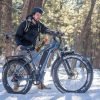 DWMEIGI Pegasus 48V/16Ah 750W Fat Tire Electric Bike