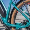 DWMEIGI Hestia 48V/13Ah 750W Electric Bike