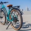 DWMEIGI Hestia 48V/13Ah 750W Electric Bike