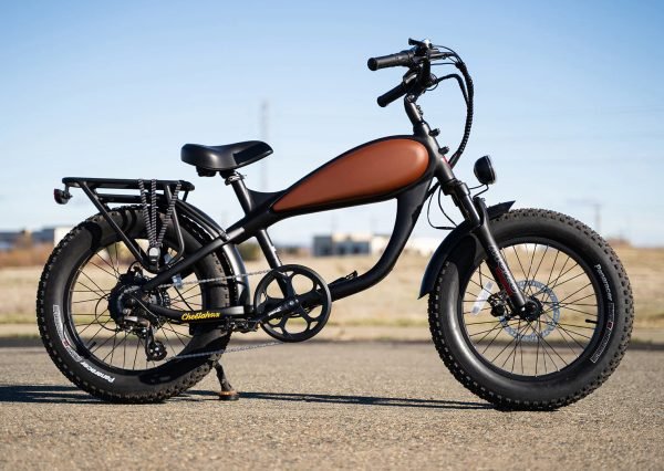1_2b81205d-346e-4167-ad2a-3aee6cfeed8c REVI Cheetah Mini 48V/15Ah 500W Electric Bike