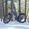 DWMEIGI Pegasus 48V/16Ah 750W Fat Tire Electric Bike