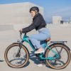 DWMEIGI Hestia 48V/13Ah 750W Electric Bike