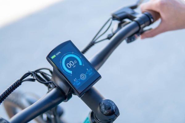 DWMEIGI Hestia 48V/13Ah 750W Electric Bike