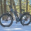 DWMEIGI Pegasus 48V/16Ah 750W Fat Tire Electric Bike