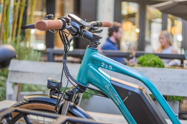 DWMEIGI Hestia 48V/13Ah 750W Electric Bike