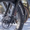 DWMEIGI Pegasus 48V/16Ah 750W Fat Tire Electric Bike