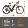 DWMEIGI Hestia 48V/13Ah 750W Electric Bike