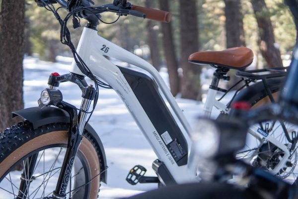 1_7 DWMEIGI Artemis 48V/16Ah 750W Fat Tire Electric Bike