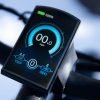 DWMEIGI Pegasus 48V/16Ah 750W Fat Tire Electric Bike