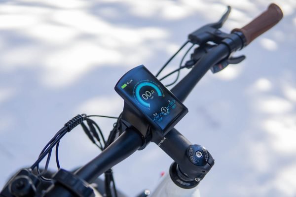 1_9 DWMEIGI Artemis 48V/16Ah 750W Fat Tire Electric Bike