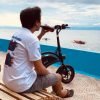 DYU D3F 36V/10Ah 250W Folding Electric Mini Bike