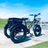 DWMEIGI Zeus MG1703 48V/18.2Ah 750W Electric Trike