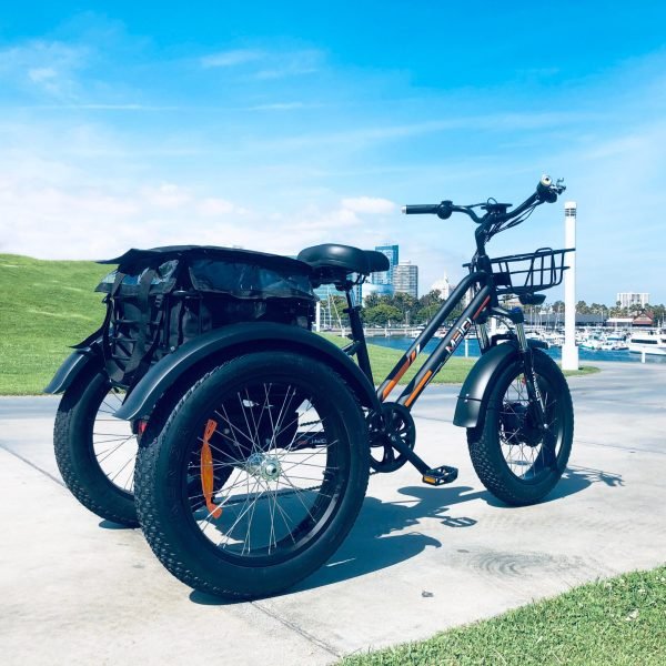 DWMEIGI Zeus MG1703 48V/18.2Ah 750W Electric Trike