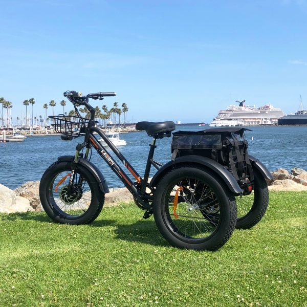 DWMEIGI Zeus MG1703 48V/18.2Ah 750W Electric Trike