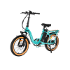 20240313-094659 REVI Rebel.2 48V/15Ah 750W Electric Bike