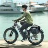 20_60cda2fa-e0be-490f-bf3f-d583e151cdde Hiboy EX11 48V/18Ah 880W Full Suspension Electric Bike